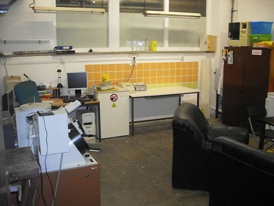 480.jpg 480.jpg