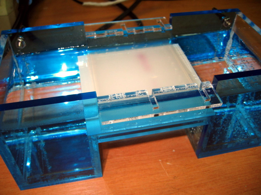 The first test electrophoresis run, no nucleic acid, just diy cresol red loading... The first test electrophoresis run, no nucleic acid, just diy cresol red loading...